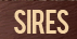 Sires